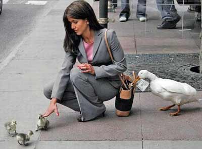 Woman playing with ducks as one takes her money